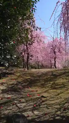 城南宮(京都府)