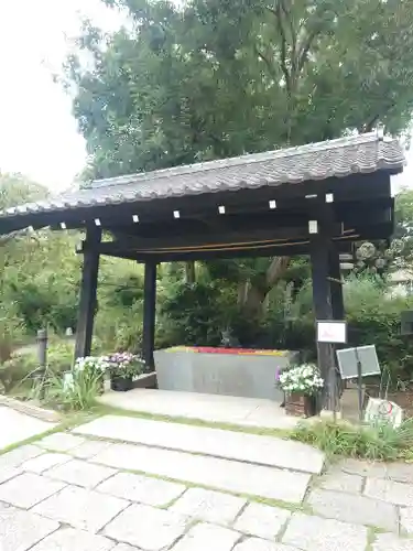 よみうりランド観音(東京都)