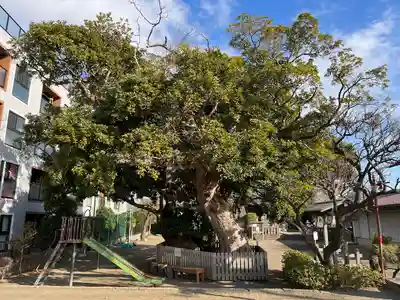 八王子神社(神奈川県)