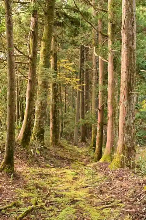 高峯神社(高知県)