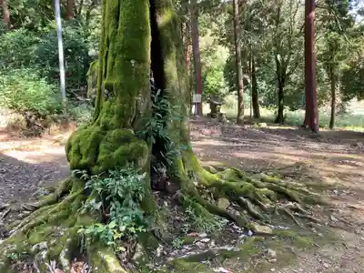 八幡神社(兵庫県)