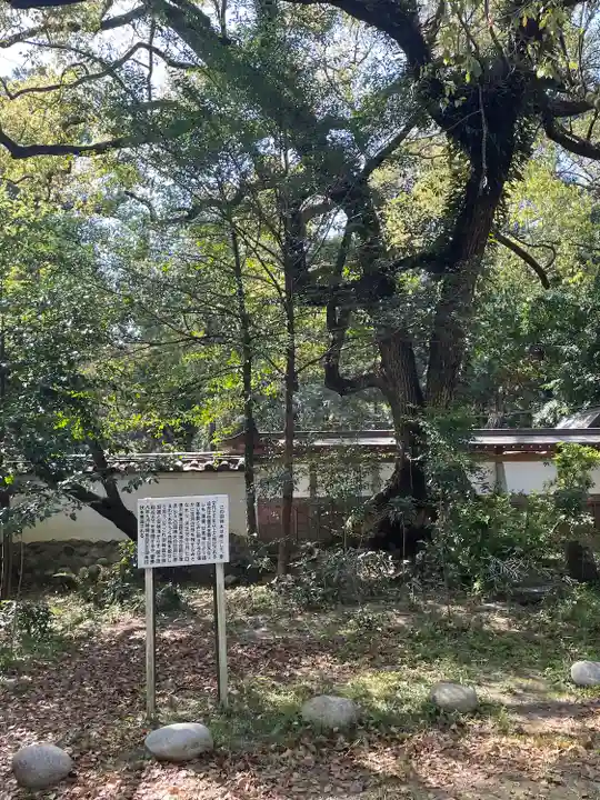 賀茂神社の自然
