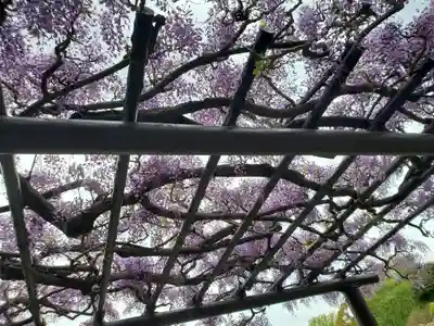 玉敷神社(埼玉県)