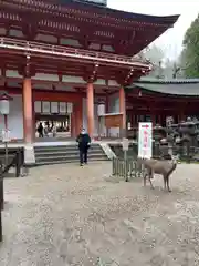 春日大社(奈良県)