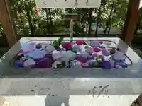 桜神宮(東京都)