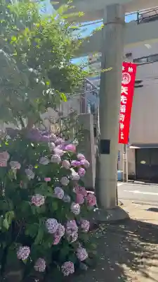 矢先稲荷神社(東京都)