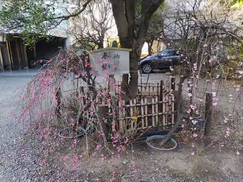 牛天神北野神社(東京都)