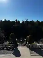 成田山平和大塔の{uncategorized: "未分類", other: "その他", undefined: "問題あり", building: "その他建物", grave: "お墓", sacred_gate: "鳥居", guardian: "狛犬", statue: "像", buddha: "仏像", history: "歴史", nature: "自然", garden: "庭園", animal: "動物", pagoda: "塔", temizu: "手水舎", mountain_gate: "山門・神門", sanctuary: "本殿・本堂", subordinate: "末社・摂社", art: "芸術", scenery: "景色", jizo: "地蔵", ema: "絵馬", goshuin: "御朱印", omikuji: "おみくじ", items: "授与品その他", amulet: "お守り", goshuincho: "御朱印帳", eats: "食事", festival: "お祭り", votive_dance: "神楽", shichigosan: "七五三参", wedding: "結婚式", experience: "体験その他", initially: "初詣", around: "周辺", anti_infection: "感染症対策"}