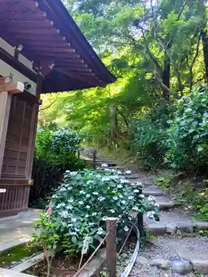 高幡不動尊　金剛寺(東京都)