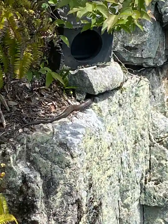 りゅうごん様(岡山県)