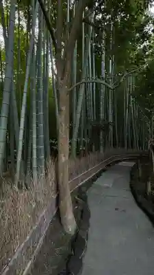報国寺(神奈川県)