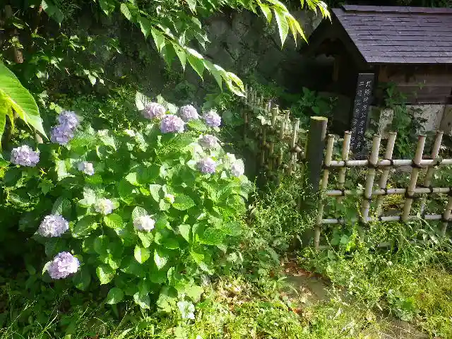 甘縄神明神社(甘縄神明宮)の自然