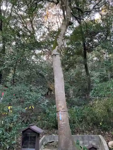美具久留御魂神社(大阪府)