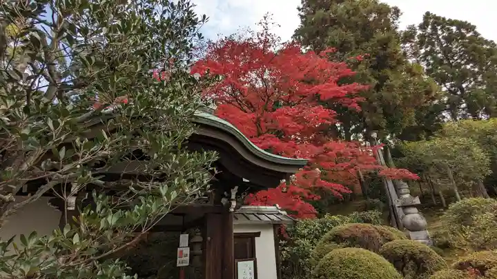 榮攝院(栄摂院)(京都府)