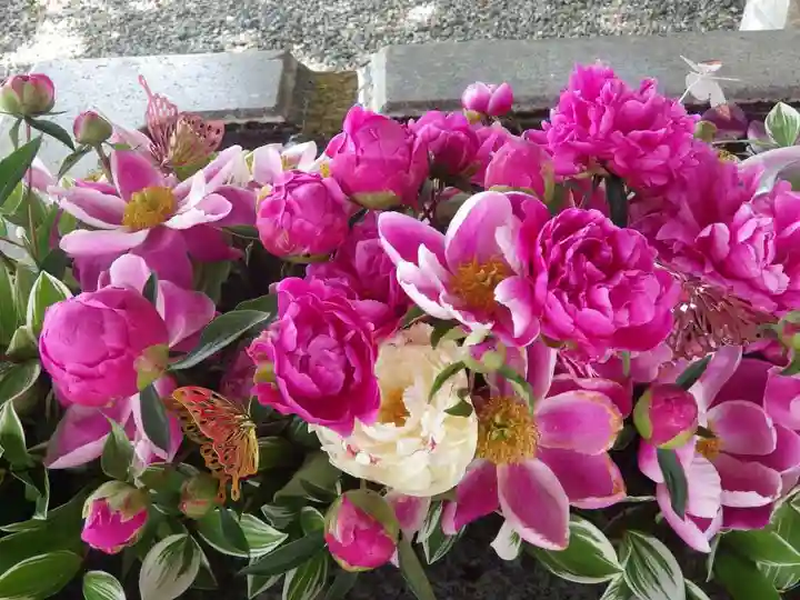 西宮八幡宮(山口県)