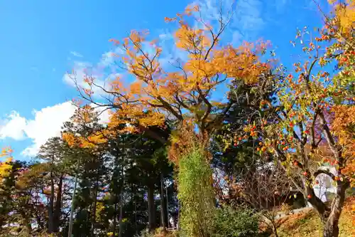 阿久津「田村神社」（郡山市阿久津町）旧社名：伊豆箱根三嶋三社の景色