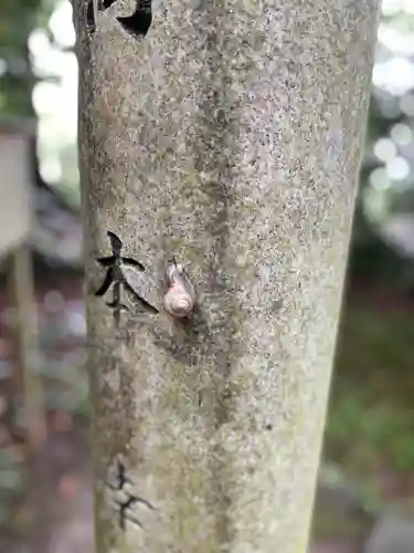 玉祖神社の動物