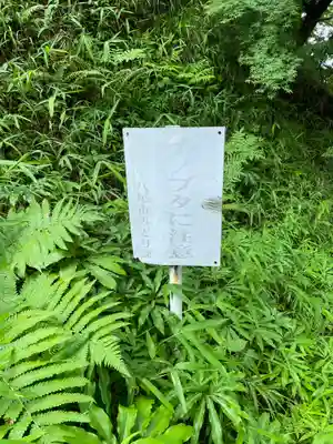 水呑地蔵院の周辺