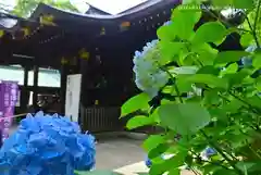 渋谷氷川神社(東京都)