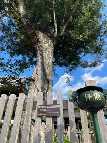 大日寺(徳島県)