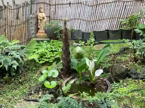 遠照山 光明寺（尼崎大仏）の自然