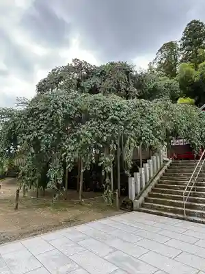 小川諏訪神社(福島県)
