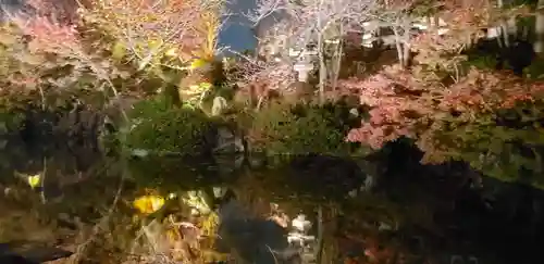 清水寺の庭園