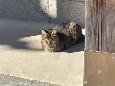 田村神社(香川県)