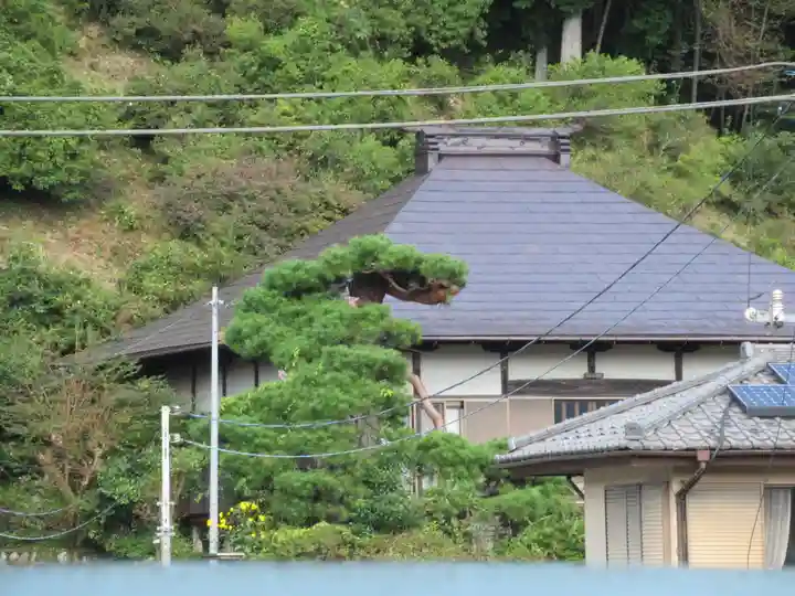長泉院(東京都)