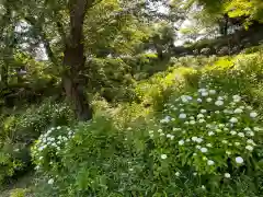 天台宗　長窪山　正覚寺の自然