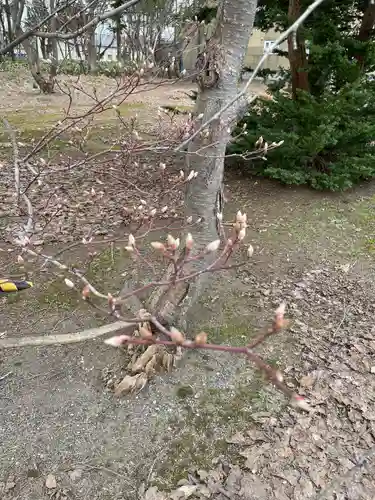 砂川神社(北海道)