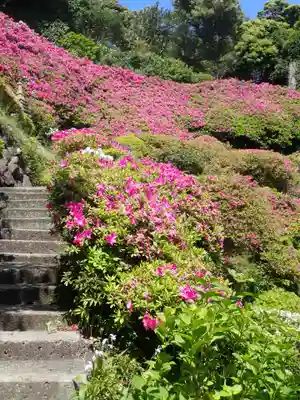 仏行寺（佛行寺）(神奈川県)