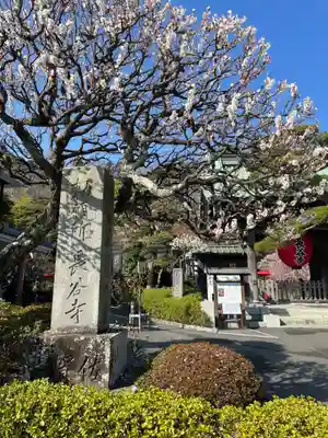 長谷寺(神奈川県)