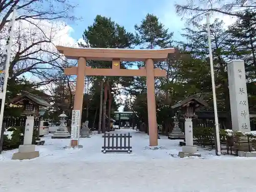 琴似神社の鳥居