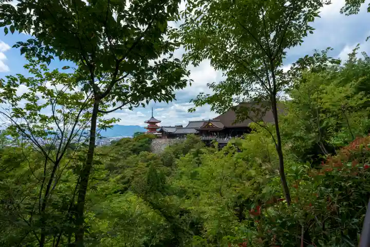 清水寺(京都府)