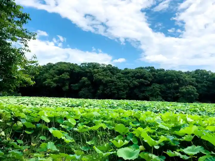 水沼神社の自然