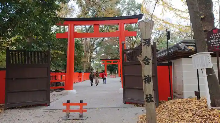 河合神社(鴨川合坐小社宅神社)の鳥居