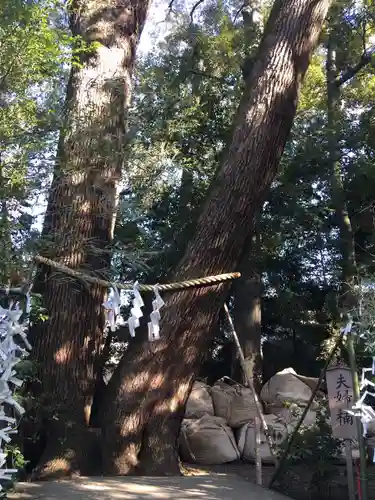 武蔵一宮氷川神社の自然