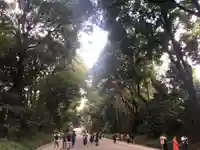 明治神宮(東京都)