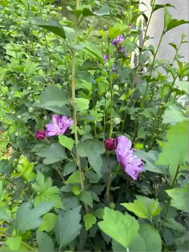 戸塚山 泉養院　置賜三十三番札所(山形県)