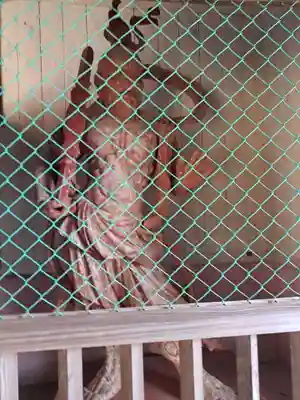 阿彌陀寺(長崎県)