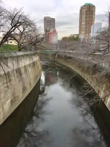 薬師寺　南蔵院 の景色