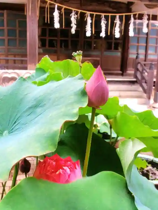 宗延寺(東京都)