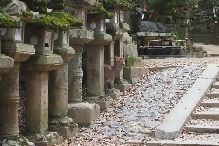 春日大社(奈良県)