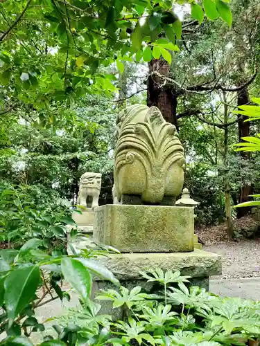 春日神社の狛犬