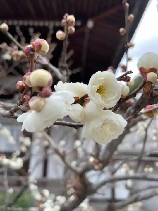 観音院(兵庫県)