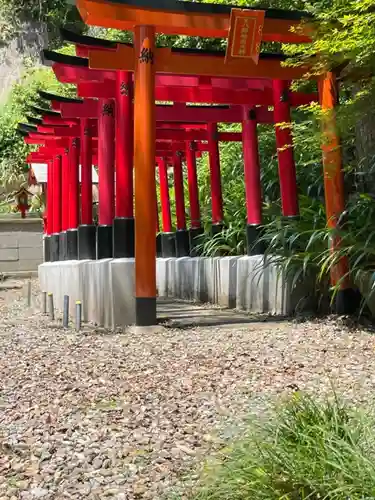 椎尾神社の鳥居