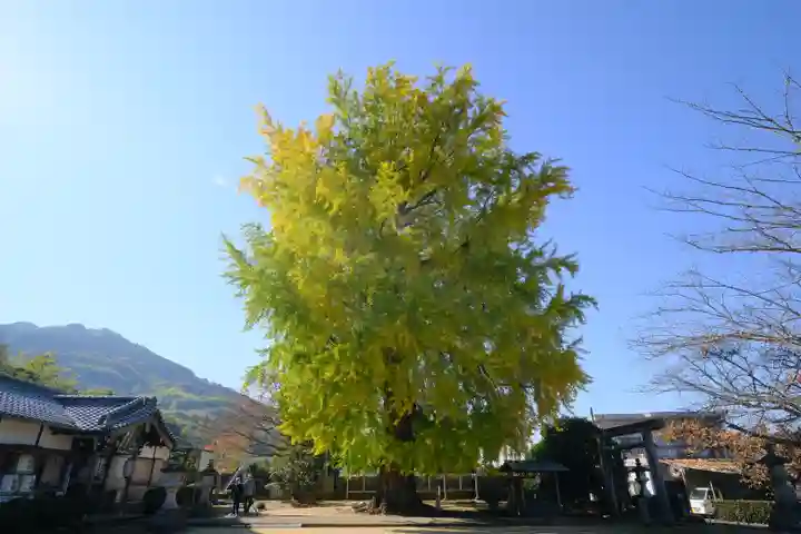 丹生酒殿神社の自然