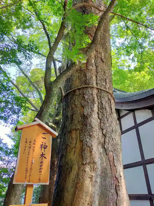 川越氷川神社の自然
