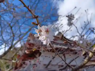 金蛇水神社(宮城県)